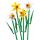 LEGO® Botanicals 40747 Narcisy