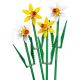 LEGO® Botanicals 40747 Narcisy