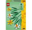 LEGO® Botanicals 40747 Narcisy