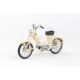 Jawa 50 Pionier Peň (1955) 1:18 - Slonová Kosť