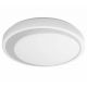 Svietidlo LEDVANCE ORBIS MOON GRAY 480mm, 34W/3-6500K, CCT, IP20, TW (OSRAM)