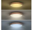Solight LED osvetlenie s diaľkovým ovládačom Iron Oak, 60W, 4200lm, 51cm, zmena chromatičnosti, stmievateľné