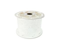 LedStar LED pás 1m 230V SMD2835 120LED/m 12W/m 6500K Studená biela IP65