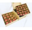 Irisa LUXUSNÝ SET Vianočné ozdoby KATRIN - červené dekor ornamenty, BOX 39 ks