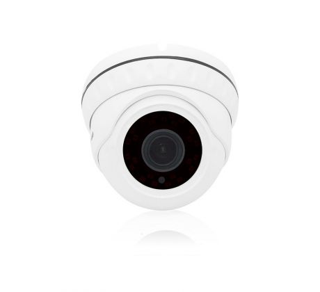 Kamera IP kupolová BLOW 2MP 2,8mm BL-IP2DNS7P
