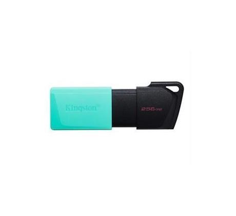 USB kľúč 256GB Kingston USB 3.2 Gen 1 DT Exodia M