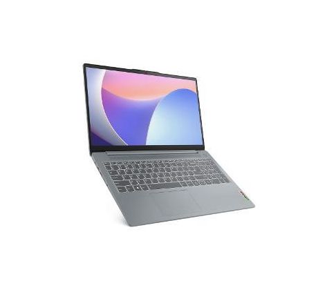 IPS 3 15,6 N100 4/128GB W11H GR LENOVO