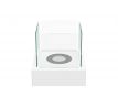 Biokrb Tango 3 White