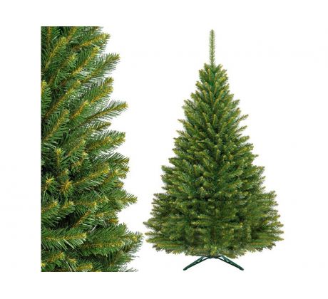 CT0170 SEVERSKÝ SMREK 180 CM