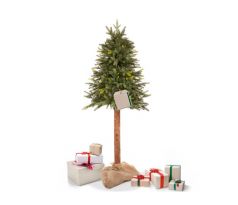 CT0198 PRIRODNÝ SMREK NA KMENI 150 CM