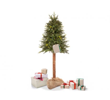 CT0198 PRIRODNÝ SMREK NA KMENI 150 CM