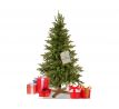 CT0255 HIMÁLAJSKA JEDLA PREMIUM 150 CM