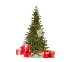 CT0256 PREMIOVÝ HIMALÁJSKY SMREK 180 CM