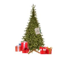 CT0258 HIMALAJSKÝ SMREK PREMIUM 240 CM