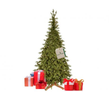 CT0258 HIMALAJSKÝ SMREK PREMIUM 240 CM